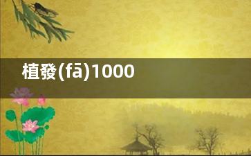植發(fā)1000單位有多大面積？10-20平方厘米左右！需要看頭發(fā)基礎(chǔ)才能估算具體面積